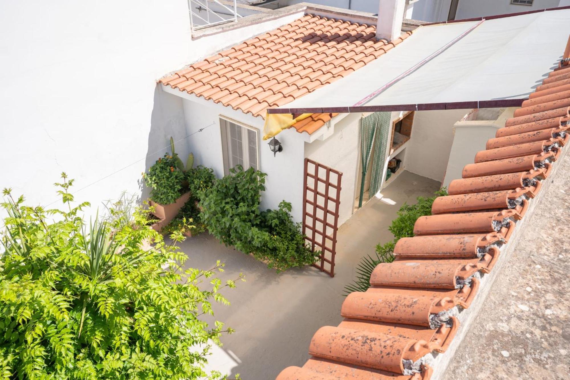 Villa Camilla Porto Cesareo Εξωτερικό φωτογραφία